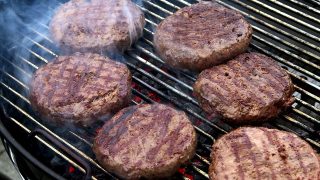 Growing hamburgers on a petri dish