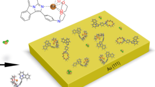 Development of a barium detector for a neutrinoless double beta decay