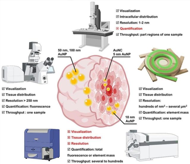 How tiny particles navigate tumours: Understanding nanoparticle penetration in 3D cell models